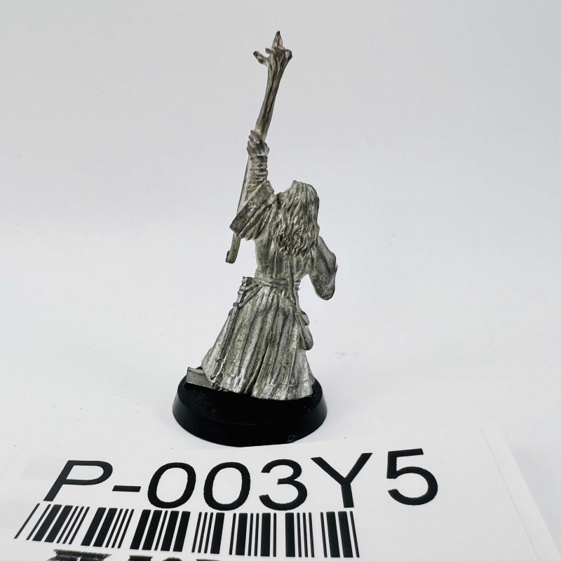 Gandalf le gris à pied incomplet