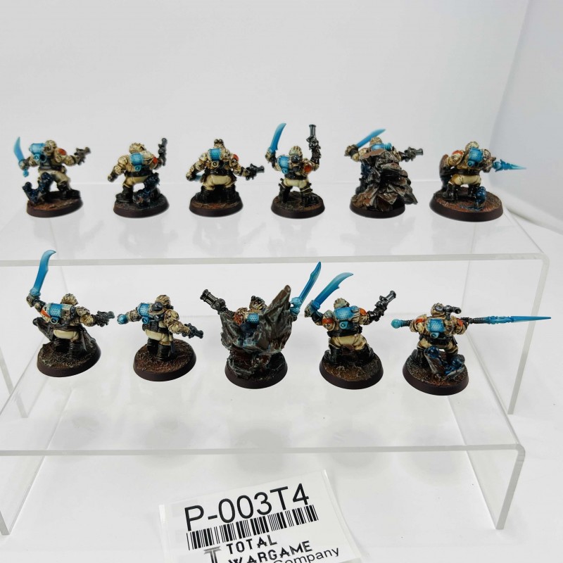 Arkanaut Company