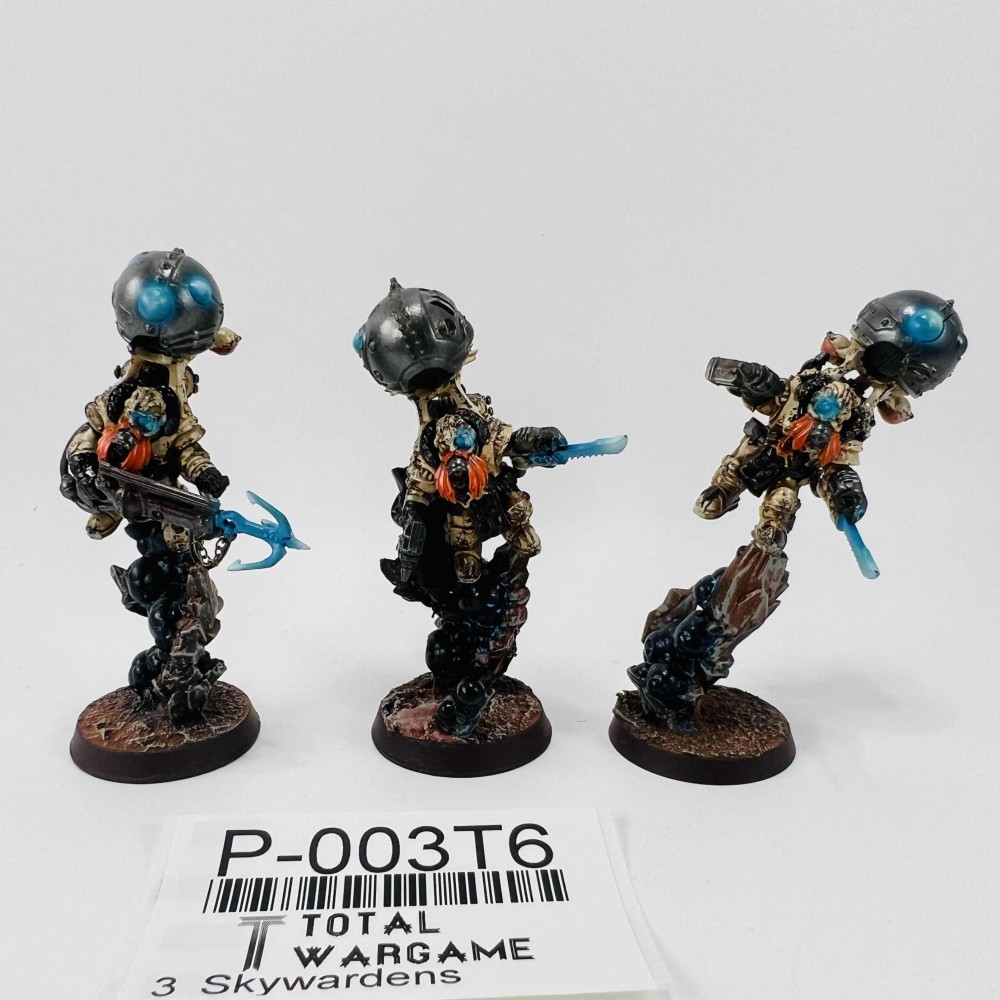 Skywardens