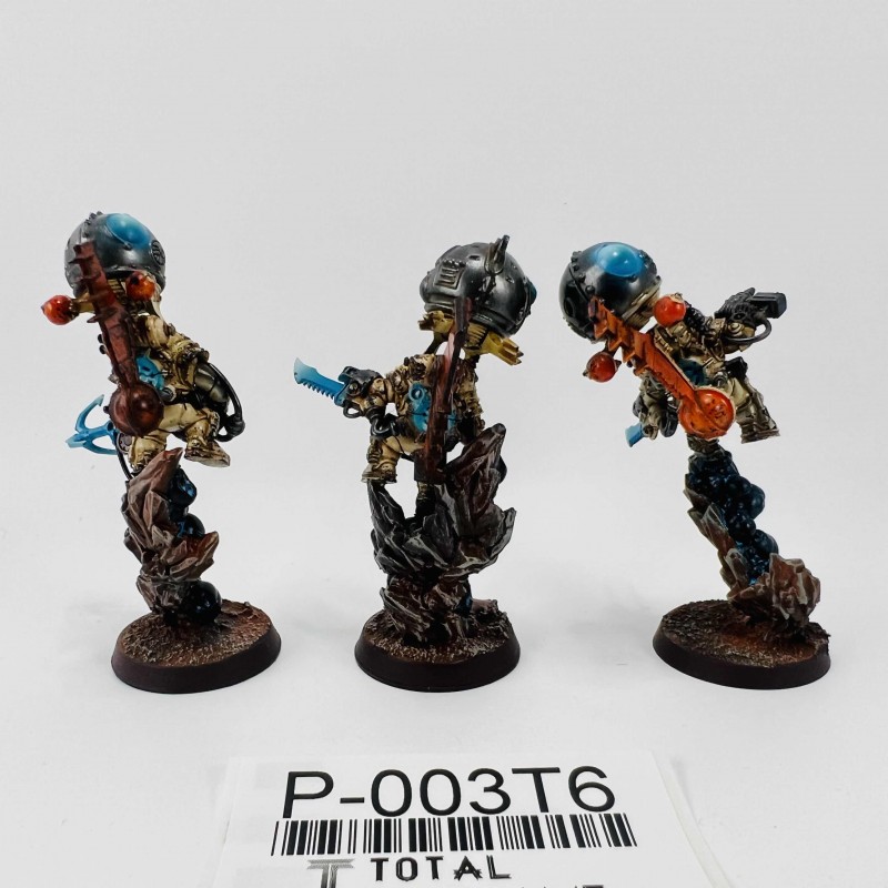 Skywardens