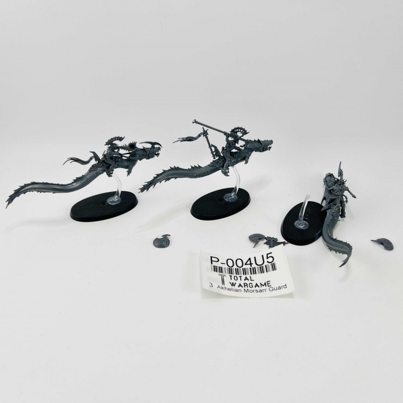 Akhelian Morsarr Guard