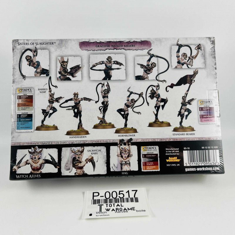 Witch Aelves sealed box