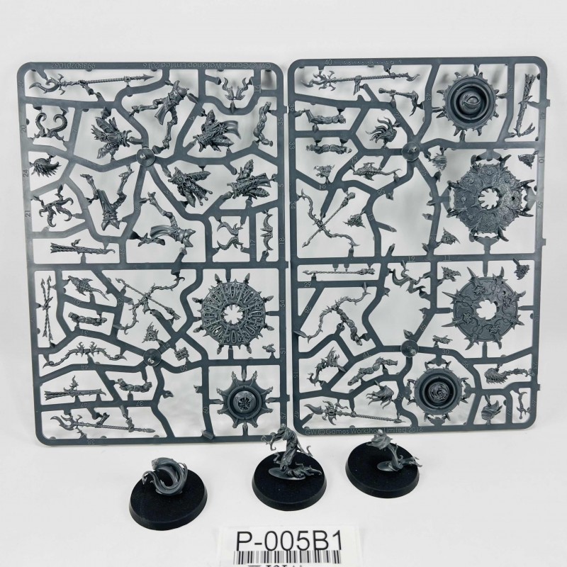 Tzaangors Skyfire / Enlighted