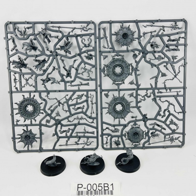 Tzaangors Skyfire / Enlighted