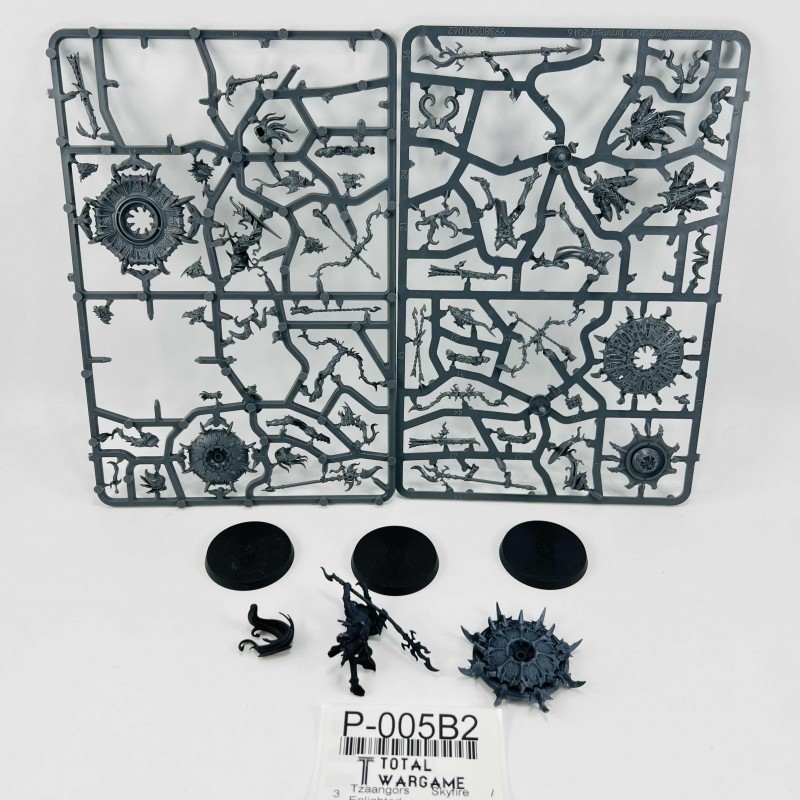 Tzaangors Skyfire / Enlighted