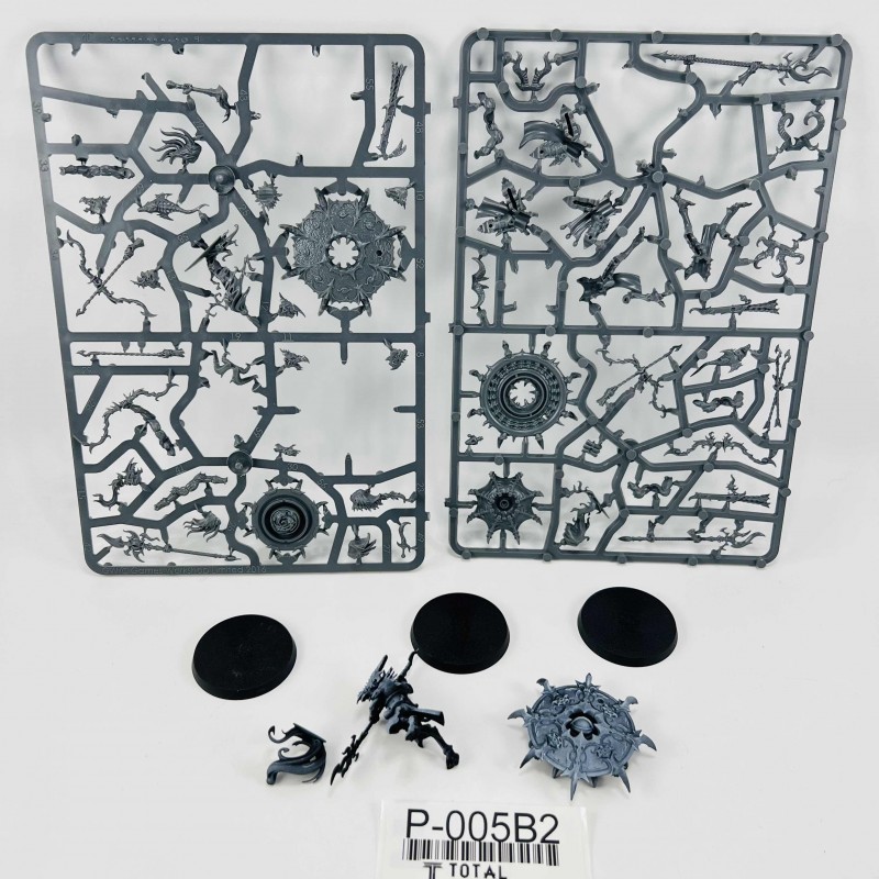 Tzaangors Skyfire / Enlighted