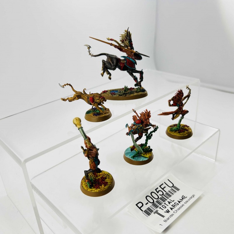 Bande Chasse sauvage