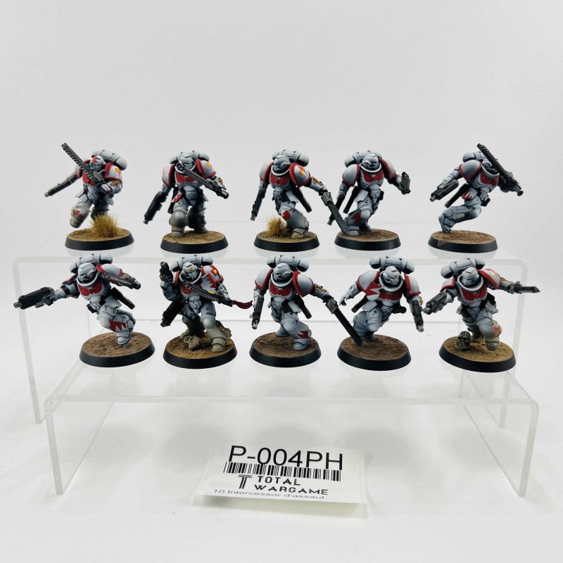 Intercessor d'assaut