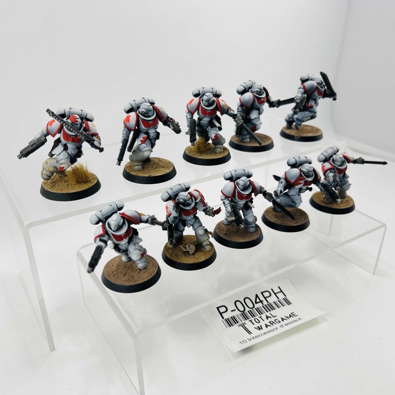 Intercessor d'assaut