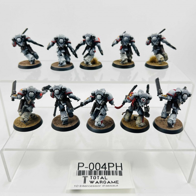 Intercessor d'assaut