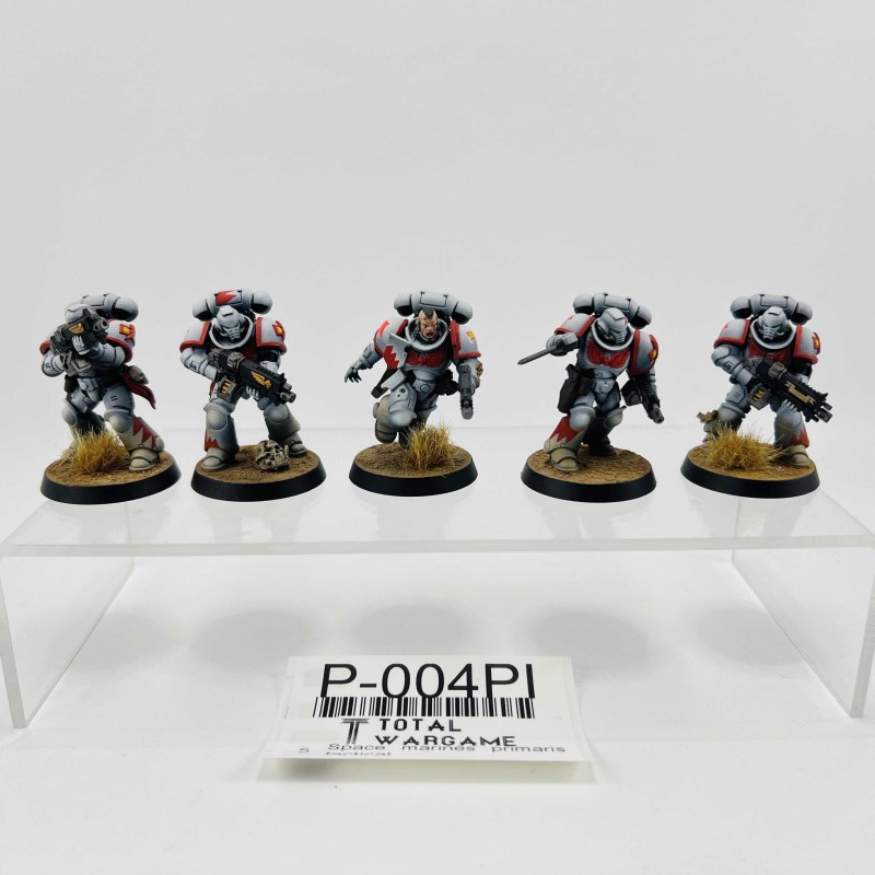 Space marines primaris tactical