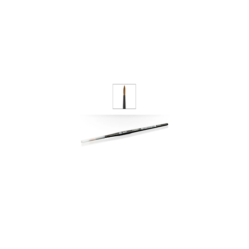 CItadel Brush Shade M