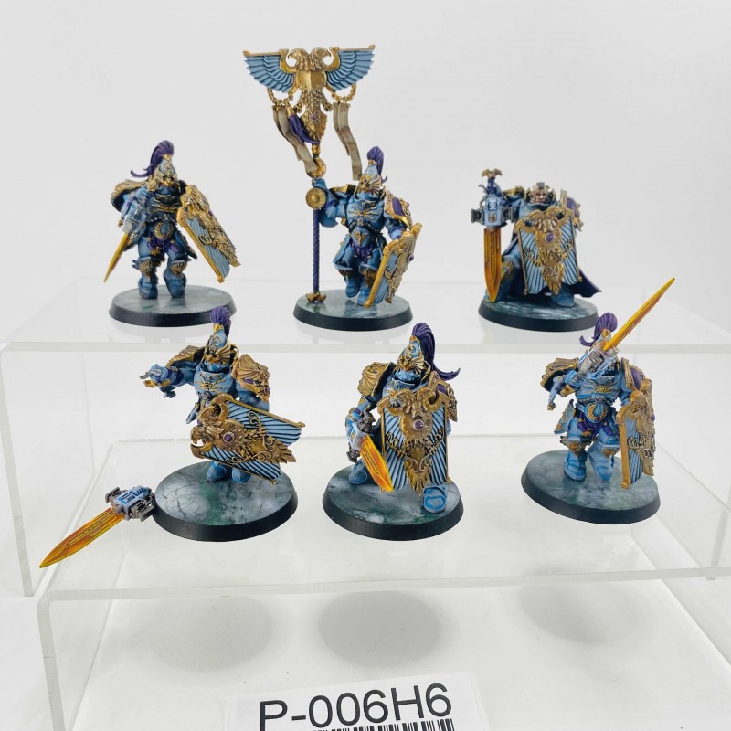 Custodian guards