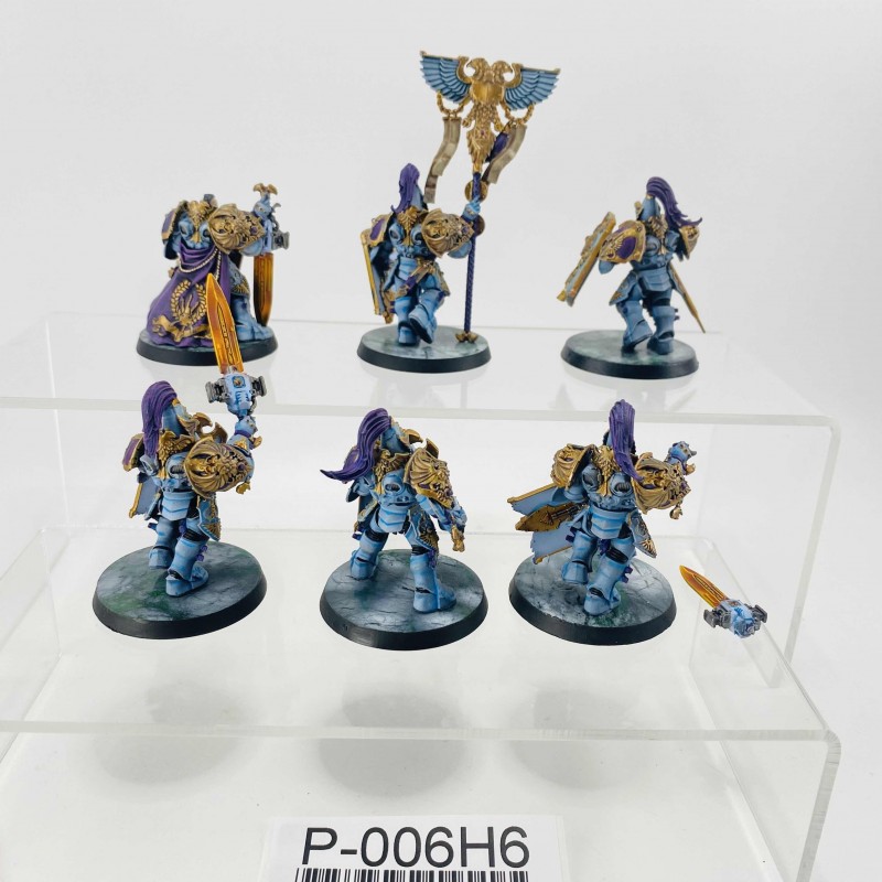 Custodian guards