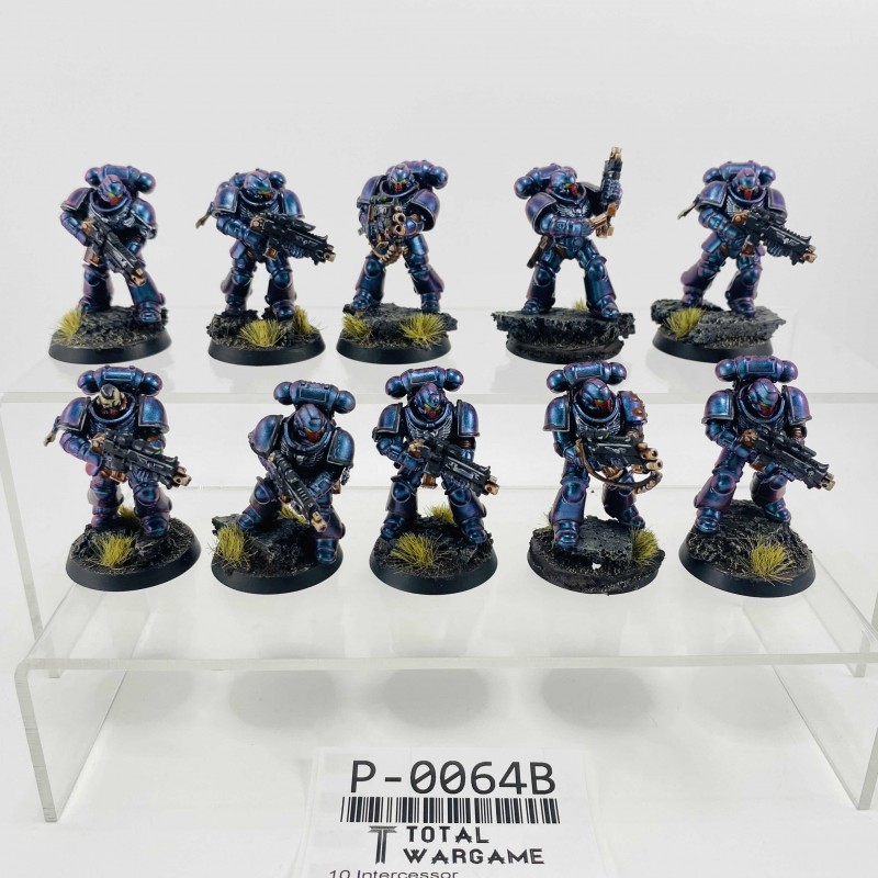 Intercessor
