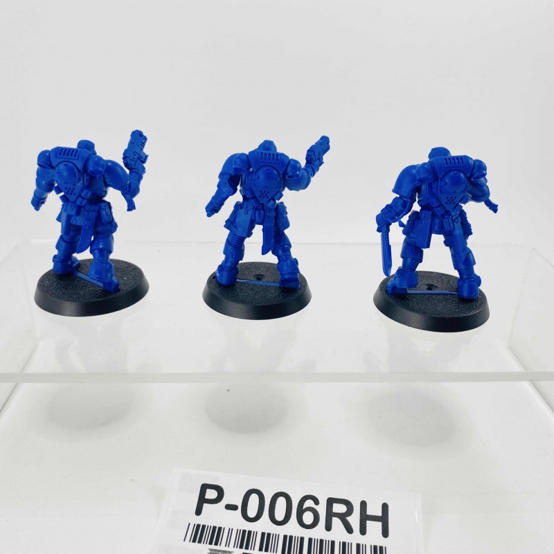 Primaris reivers