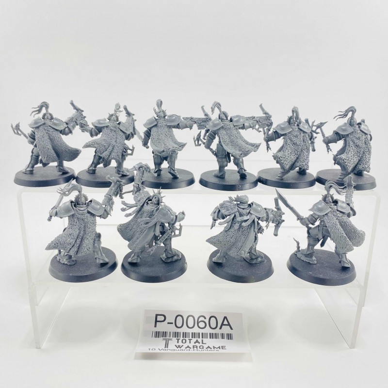 Vanguard-Hunters