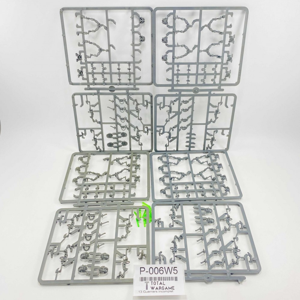 Guerriers incomplet