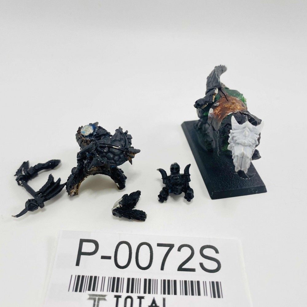 Skinks chevaucheurs de sang froid