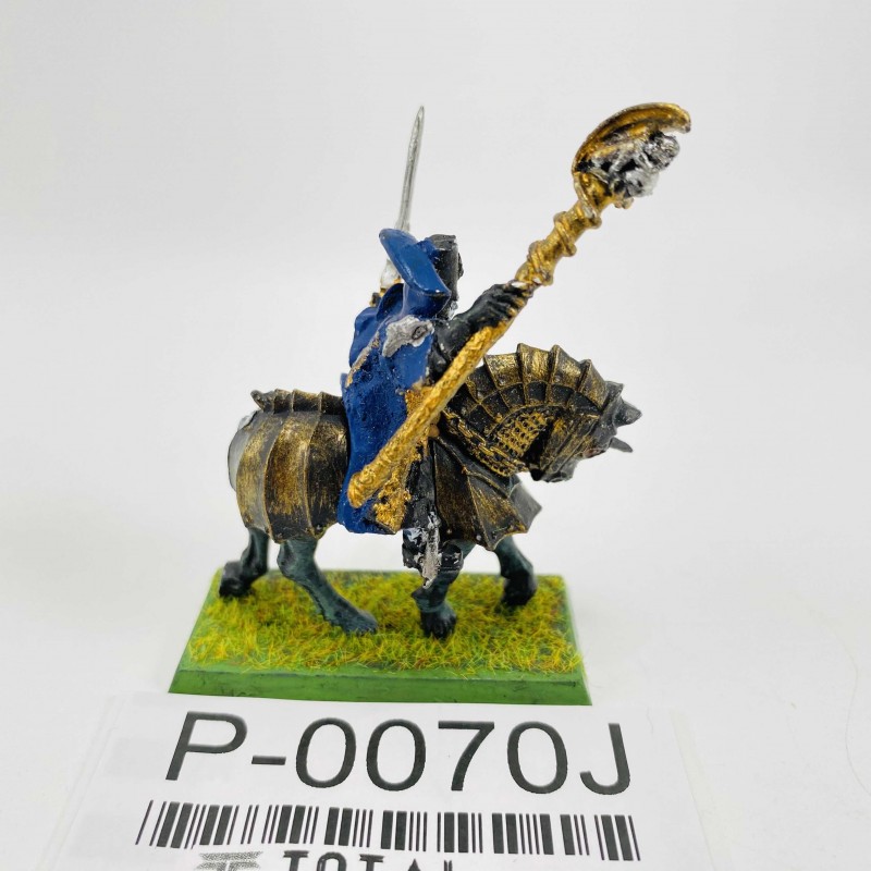 mounted wizard