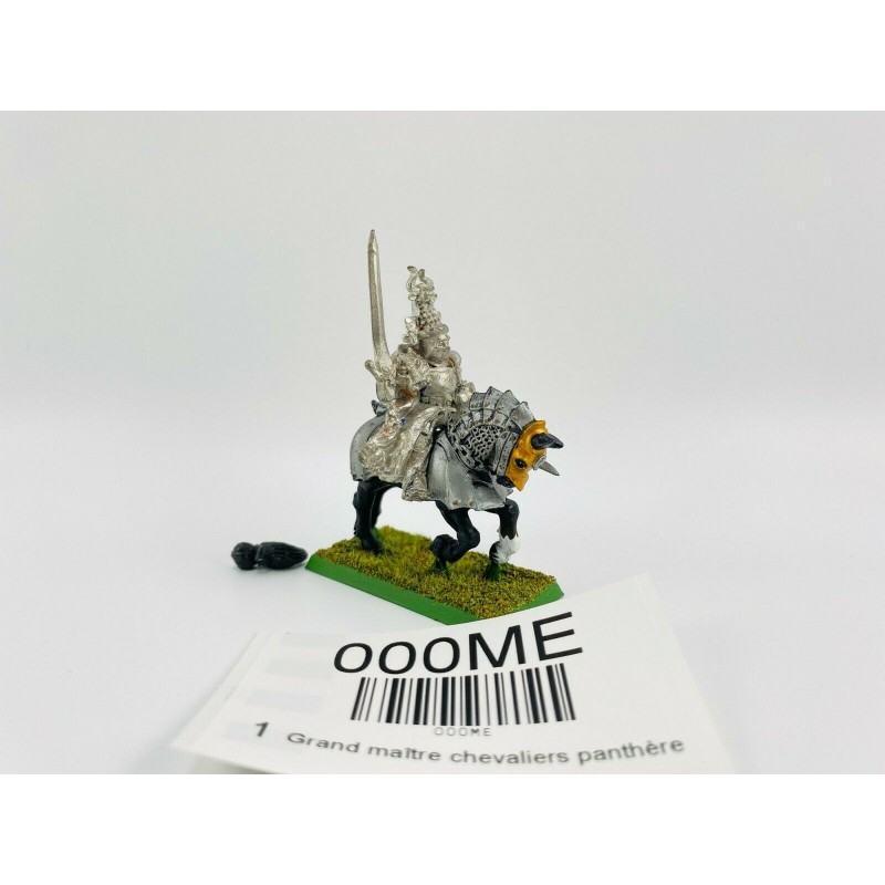 Grand maître chevaliers panthère