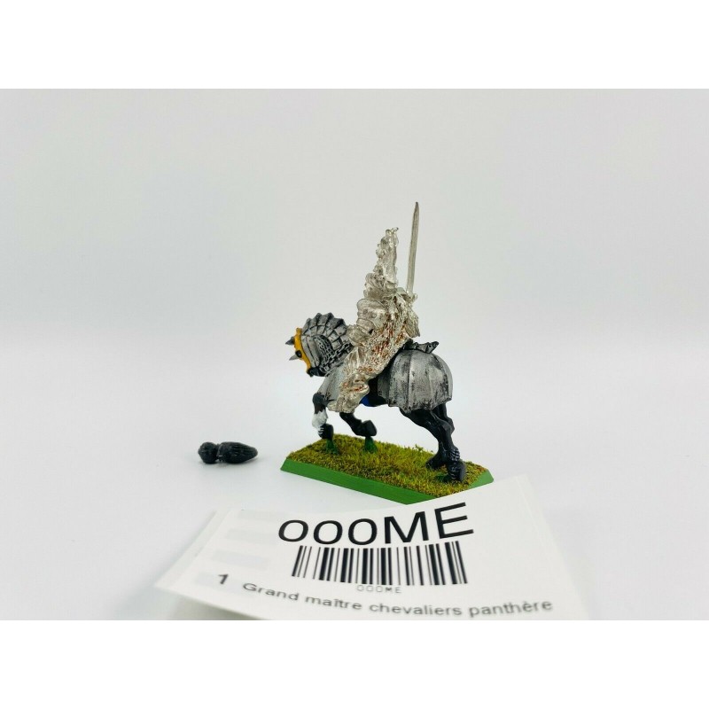Grand maître chevaliers panthère