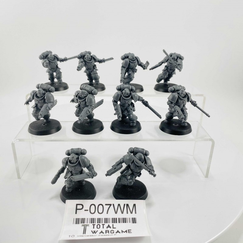 Intercessor d'assaut