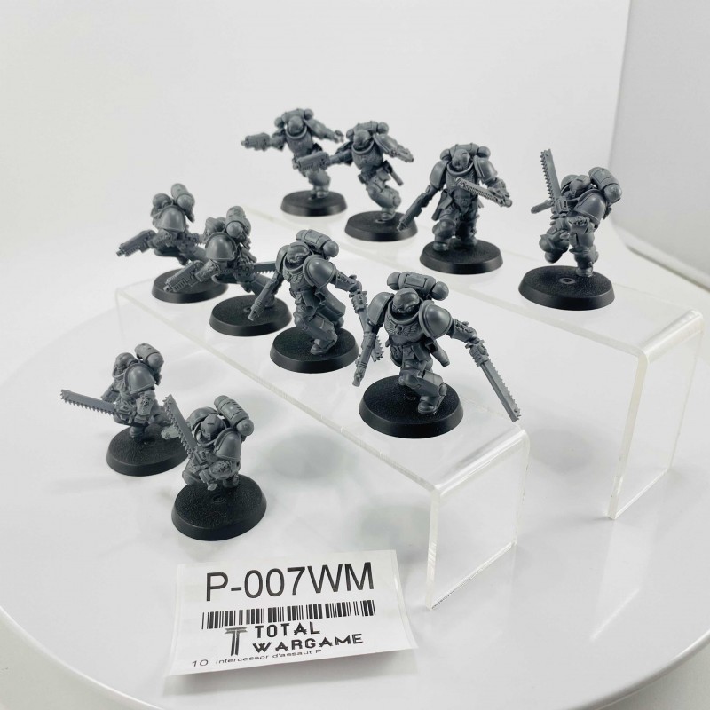 Intercessor d'assaut