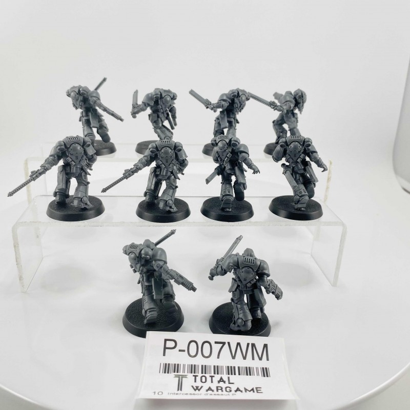 Intercessor d'assaut