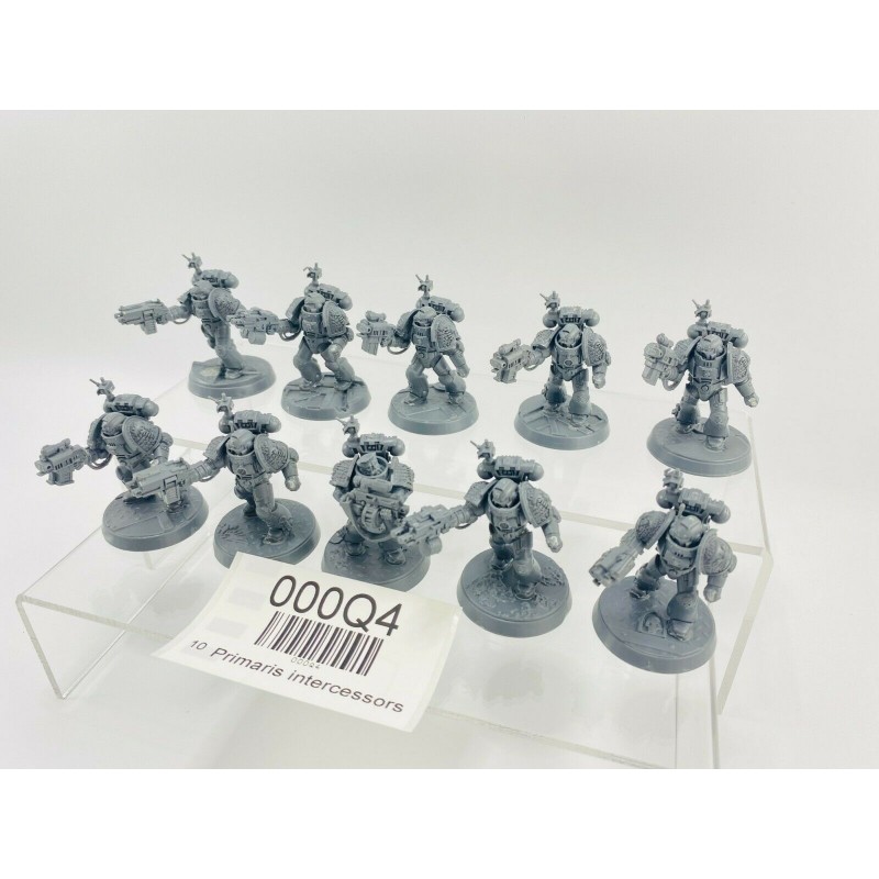 Primaris intercessors