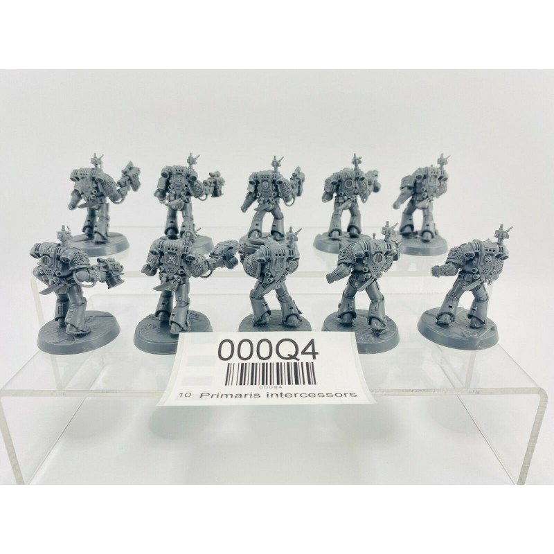 Primaris intercessors