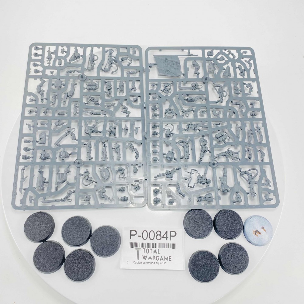 Cadian command squad