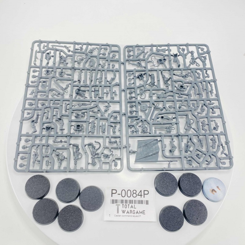 Cadian command squad