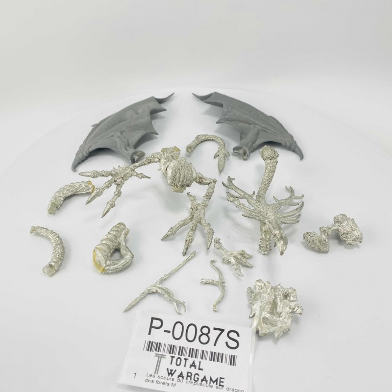 Les soeurs du crépuscule sur dragon des forêts