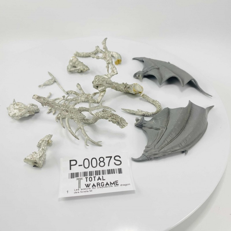 Sisters of twilight on forest dragon