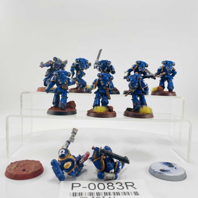 Intercessor d'assaut