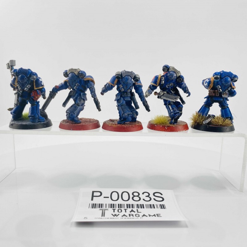 Intercessor d'assaut