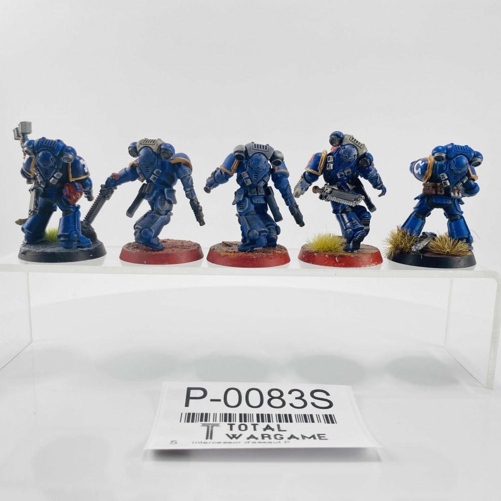 Intercessor d'assaut