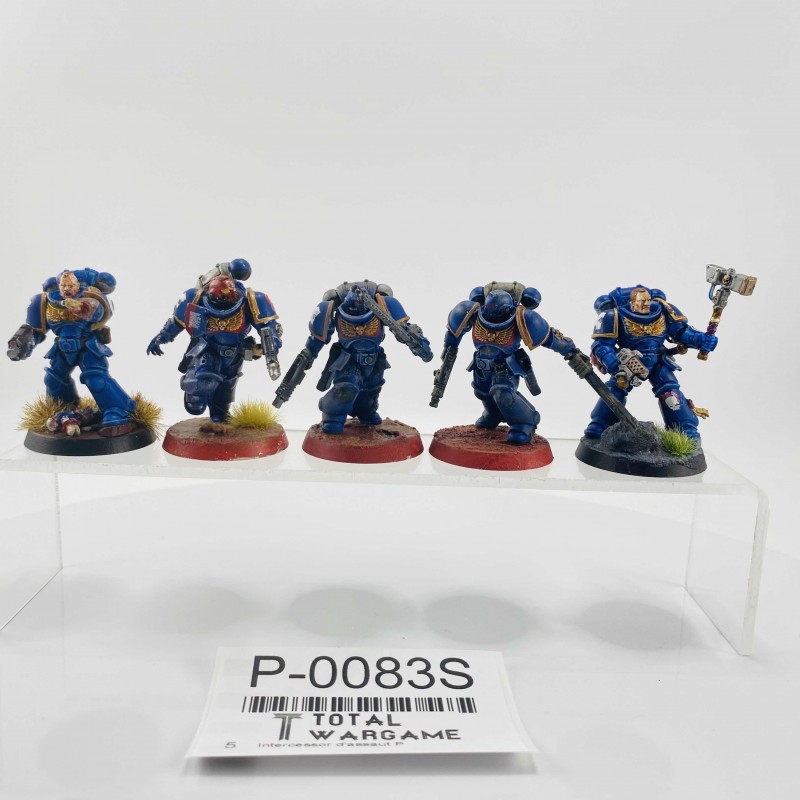 Intercessor d'assaut