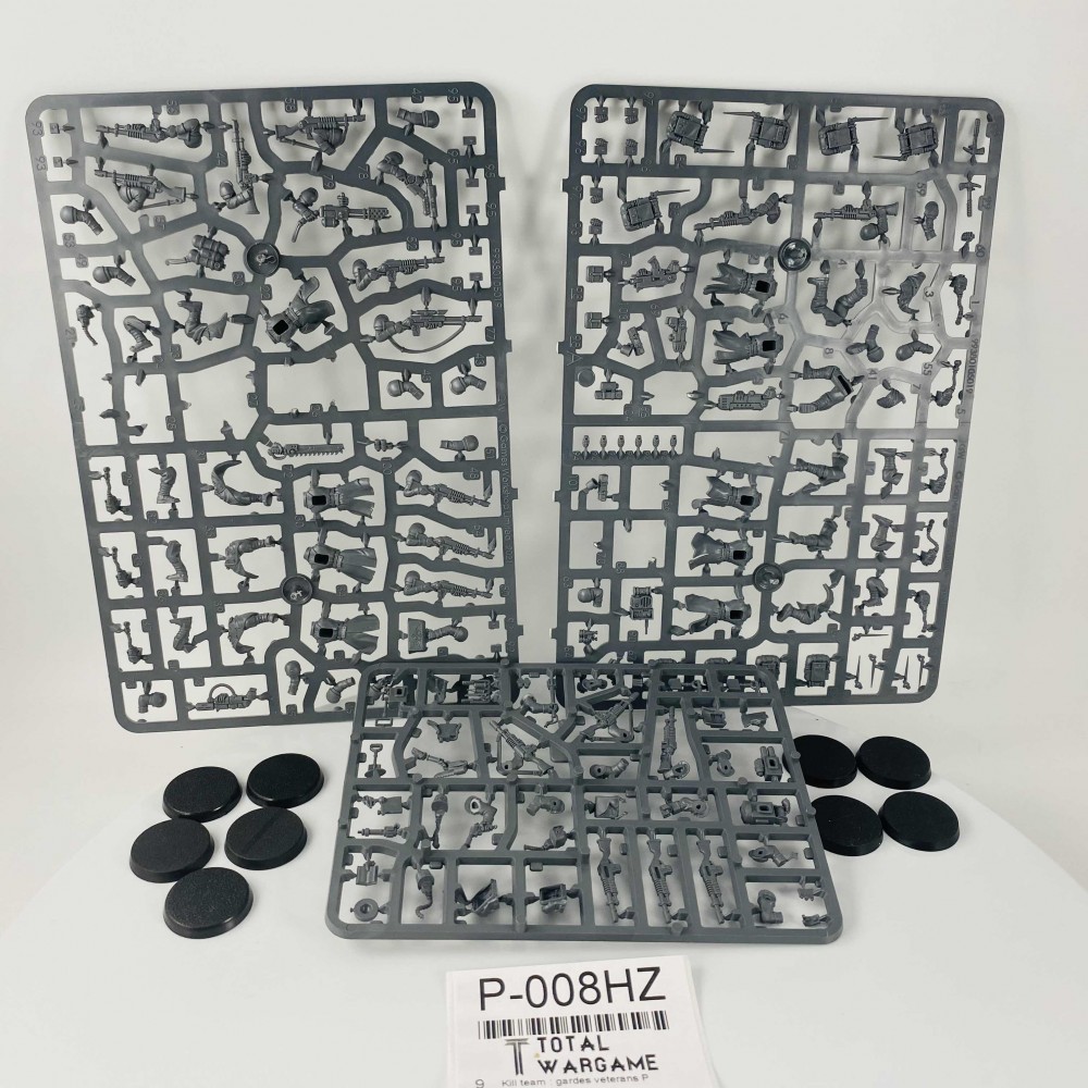 Kill team : gardes vétérans