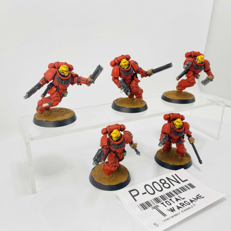 Intercessor d'assaut