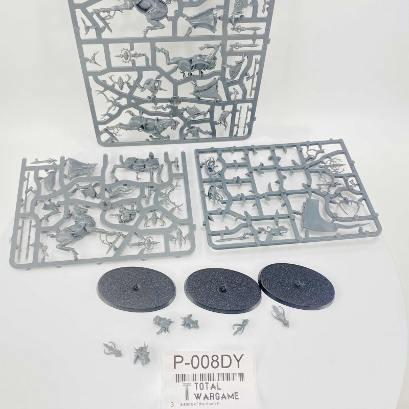 sisters of the thorn