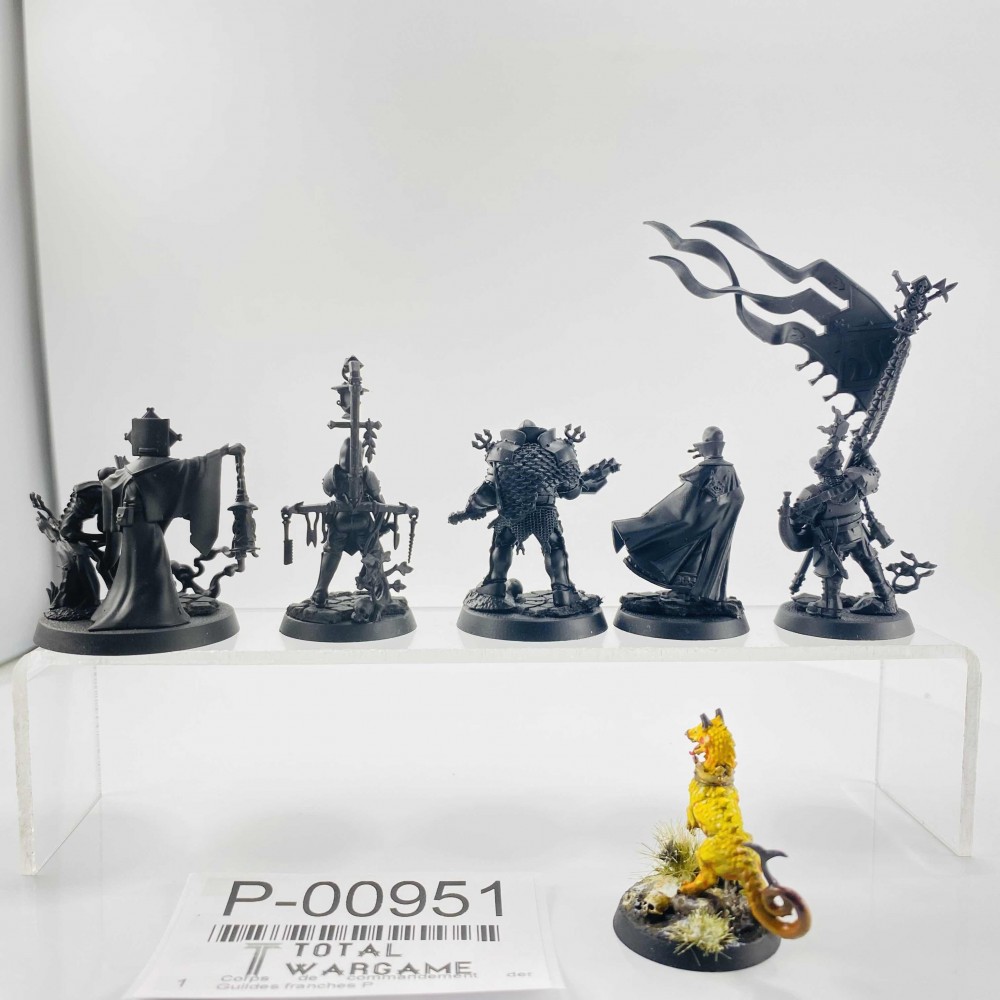 Freeguild command corps