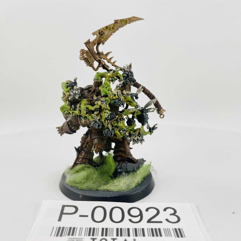 Typhus