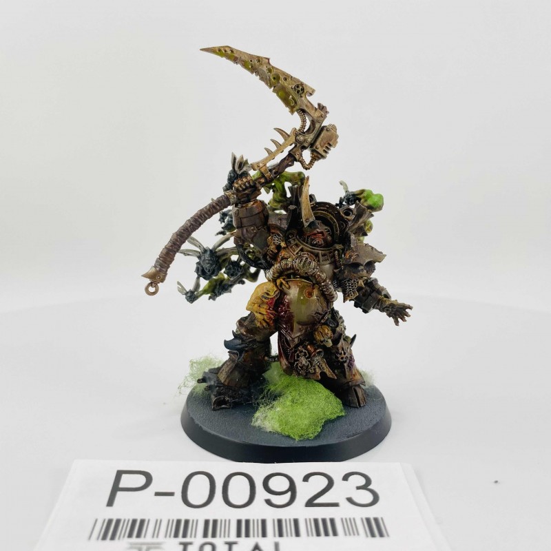 Typhus