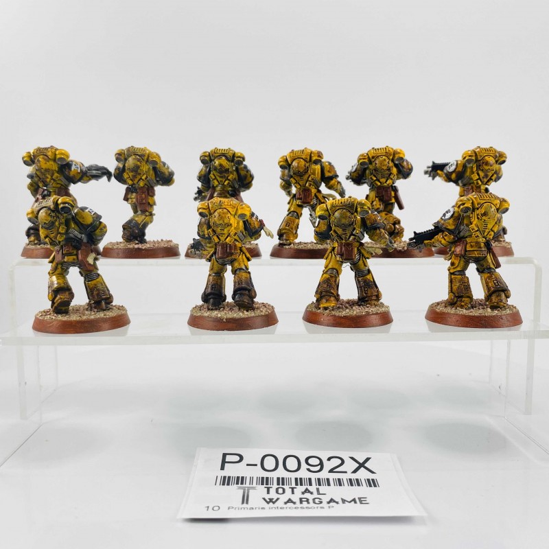 Primaris intercessors