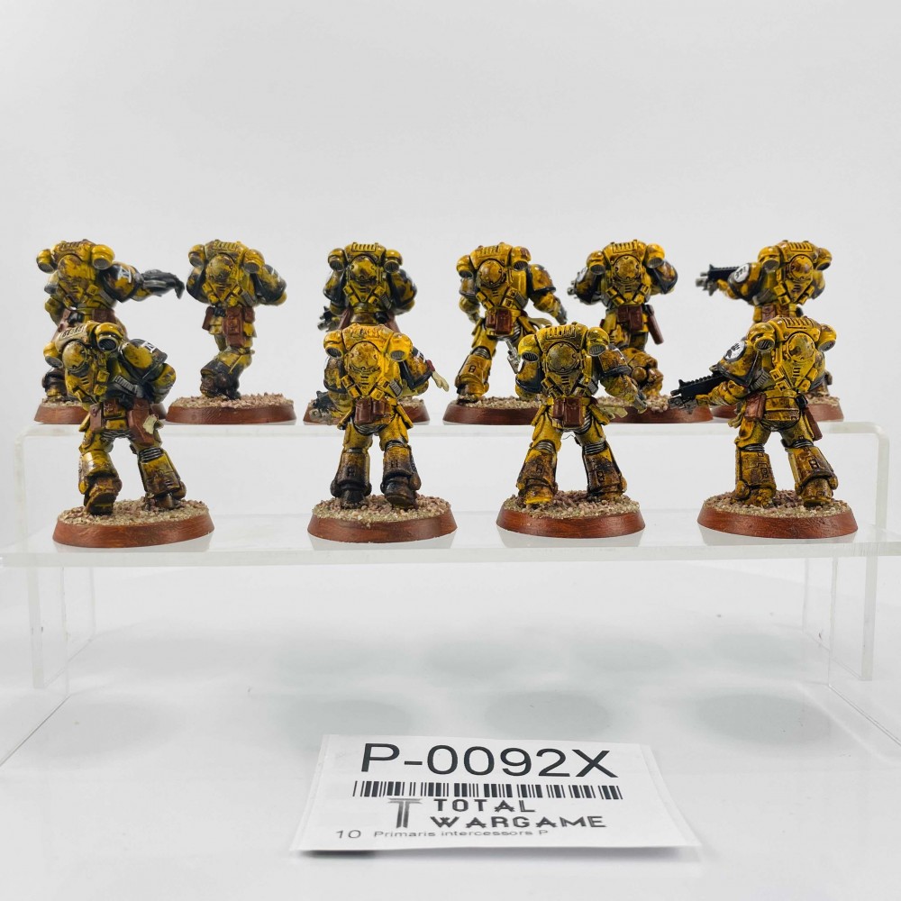 Primaris intercessors