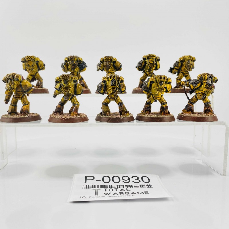 Primaris intercessors