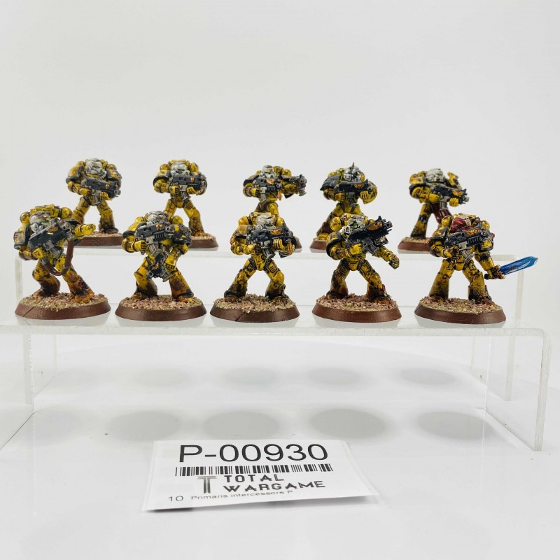 Primaris intercessors