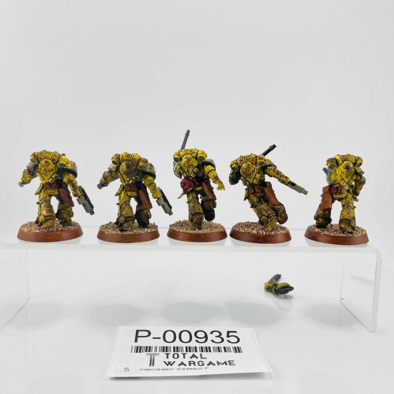 Assault intercessors